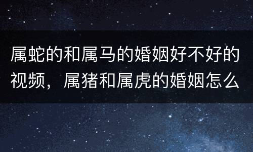 属蛇的和属马的婚姻好不好的视频，属猪和属虎的婚姻怎么样