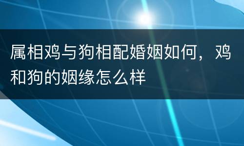 属相鸡与狗相配婚姻如何，鸡和狗的姻缘怎么样