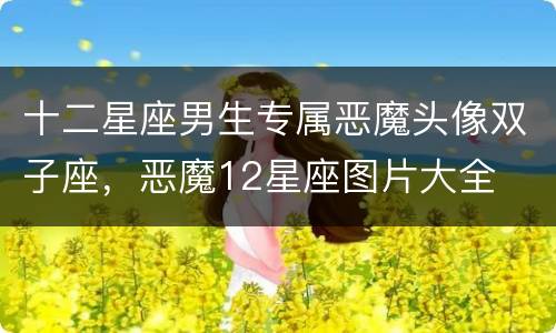 十二星座男生专属恶魔头像双子座，恶魔12星座图片大全