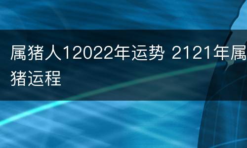 属猪人12022年运势 2121年属猪运程