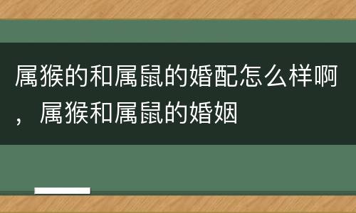 属猴的和属鼠的婚配怎么样啊，属猴和属鼠的婚姻