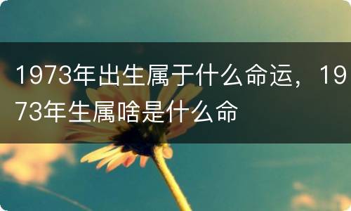 1973年出生属于什么命运，1973年生属啥是什么命