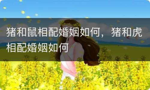 猪和鼠相配婚姻如何，猪和虎相配婚姻如何