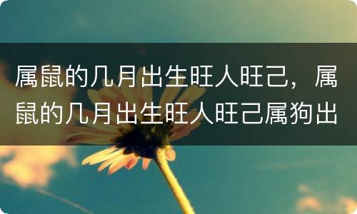 属鼠的几月出生旺人旺己，属鼠的几月出生旺人旺己属狗出生农厉6月二十五好吗