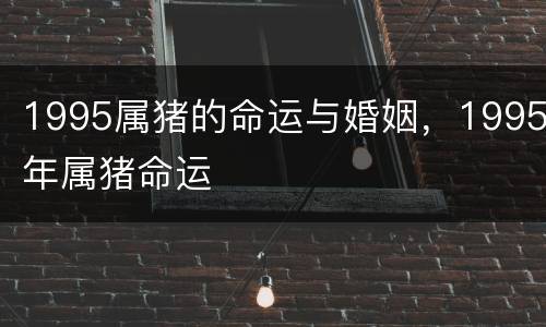 1995属猪的命运与婚姻，1995年属猪命运
