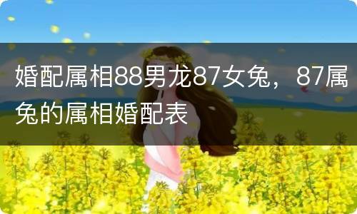 婚配属相88男龙87女兔，87属兔的属相婚配表