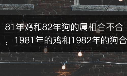 81年鸡和82年狗的属相合不合，1981年的鸡和1982年的狗合婚吗
