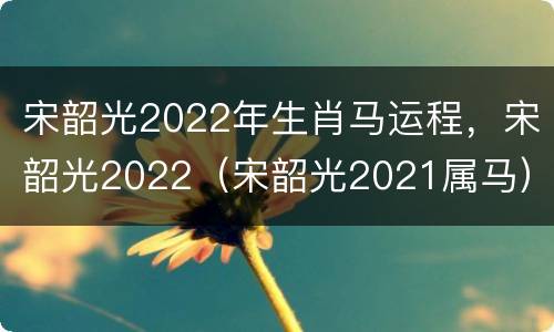 宋韶光2022年生肖马运程，宋韶光2022（宋韶光2021属马）