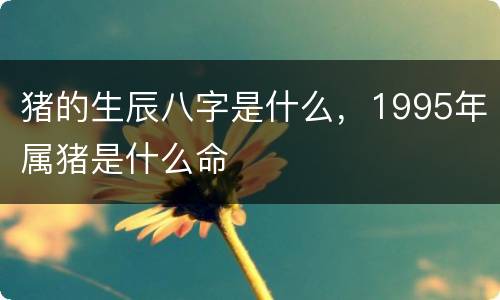 猪的生辰八字是什么，1995年属猪是什么命