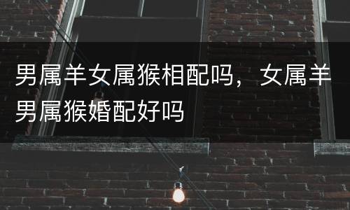 男属羊女属猴相配吗，女属羊男属猴婚配好吗