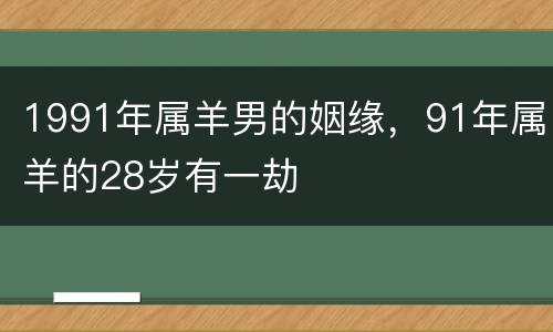 1991年属羊男的姻缘，91年属羊的28岁有一劫