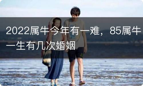 2022属牛今年有一难，85属牛一生有几次婚姻
