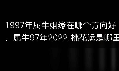 1997年属牛姻缘在哪个方向好，属牛97年2022 桃花运是哪里