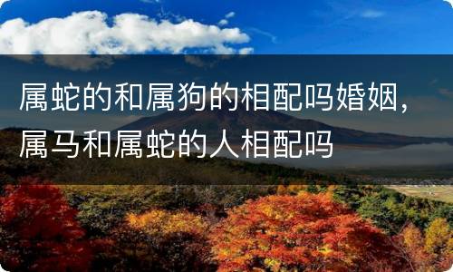 属蛇的和属狗的相配吗婚姻，属马和属蛇的人相配吗