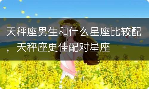 天秤座男生和什么星座比较配，天秤座更佳配对星座