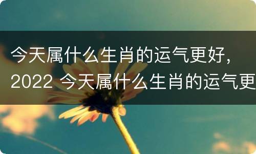 今天属什么生肖的运气更好，2022 今天属什么生肖的运气更好,2022年运势