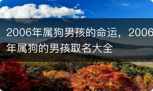 2006年属狗男孩的命运，2006年属狗的男孩取名大全