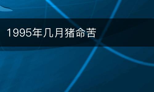 1995年几月猪命苦