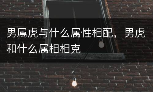 男属虎与什么属性相配，男虎和什么属相相克
