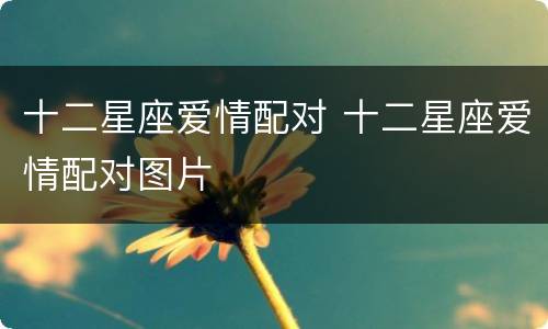 十二星座爱情配对 十二星座爱情配对图片