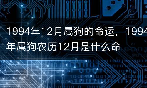 1994年12月属狗的命运，1994年属狗农历12月是什么命