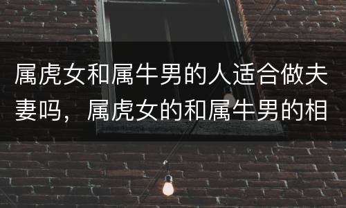 属虎女和属牛男的人适合做夫妻吗，属虎女的和属牛男的相配吗