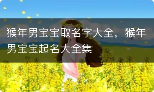 猴年男宝宝取名字大全，猴年男宝宝起名大全集