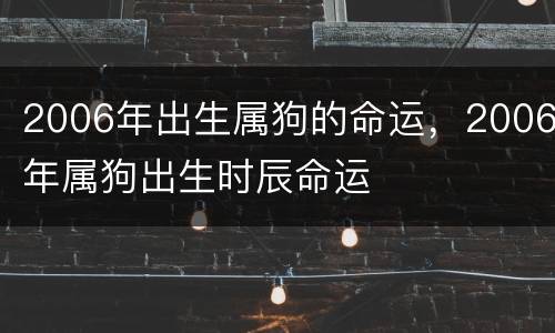 2006年出生属狗的命运，2006年属狗出生时辰命运