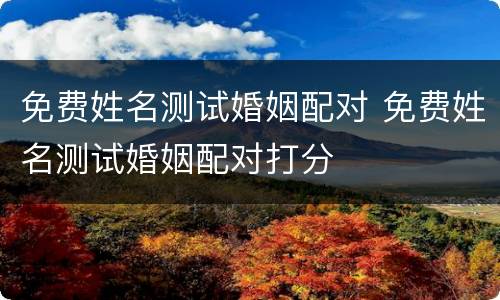 免费姓名测试婚姻配对 免费姓名测试婚姻配对打分