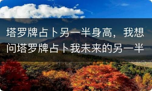 塔罗牌占卜另一半身高，我想问塔罗牌占卜我未来的另一半是什么样的人，以后