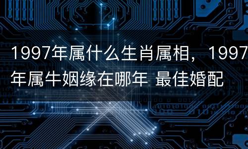 1997年属什么生肖属相，1997年属牛姻缘在哪年 最佳婚配