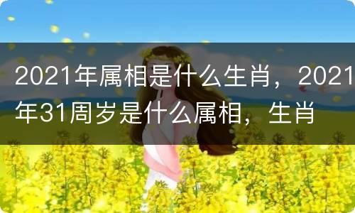2021年属相是什么生肖，2021年31周岁是什么属相，生肖