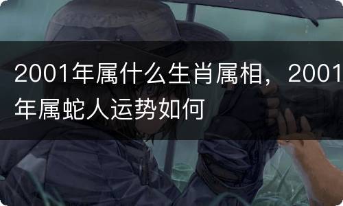 2001年属什么生肖属相，2001年属蛇人运势如何