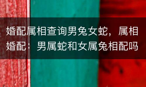 婚配属相查询男兔女蛇，属相婚配：男属蛇和女属兔相配吗