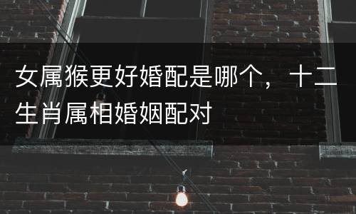 女属猴更好婚配是哪个，十二生肖属相婚姻配对