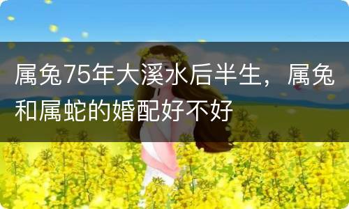 属兔75年大溪水后半生，属兔和属蛇的婚配好不好