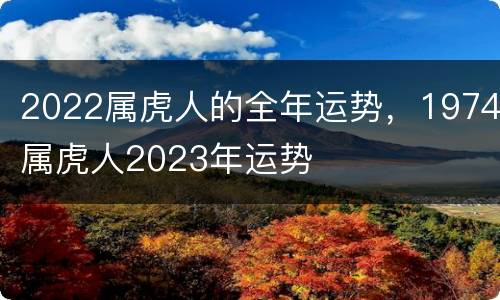 2022属虎人的全年运势，1974属虎人2023年运势