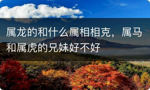 属龙的和什么属相相克，属马和属虎的兄妹好不好