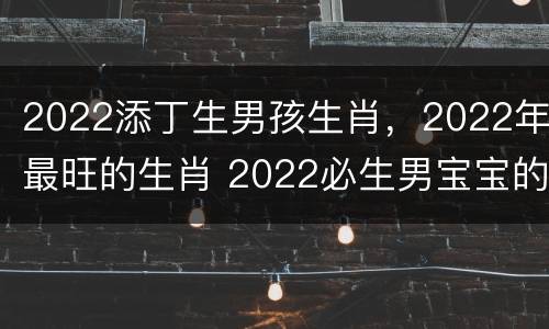 2022添丁生男孩生肖，2022年最旺的生肖 2022必生男宝宝的生肖
