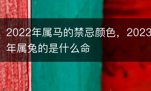 2022年属马的禁忌颜色，2023年属兔的是什么命
