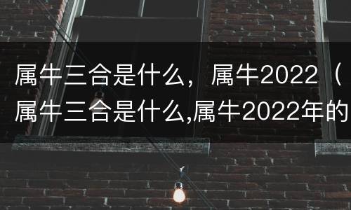 属牛三合是什么，属牛2022（属牛三合是什么,属牛2022年的运势）