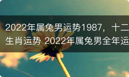 2022年属兔男运势1987，十二生肖运势 2022年属兔男全年运势1987
