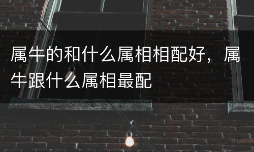 属牛的和什么属相相配好，属牛跟什么属相最配