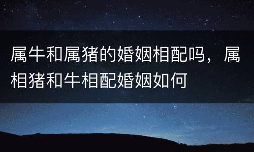 属牛和属猪的婚姻相配吗，属相猪和牛相配婚姻如何