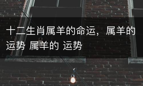 十二生肖属羊的命运，属羊的运势 属羊的 运势