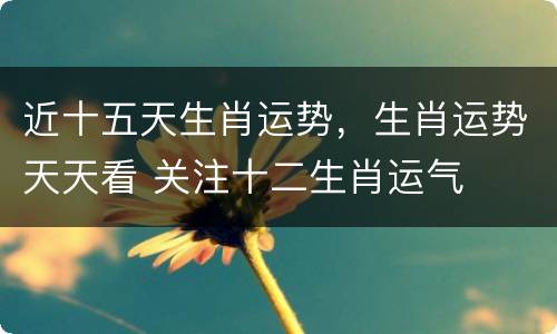 近十五天生肖运势，生肖运势天天看 关注十二生肖运气