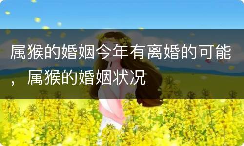 属猴的婚姻今年有离婚的可能，属猴的婚姻状况
