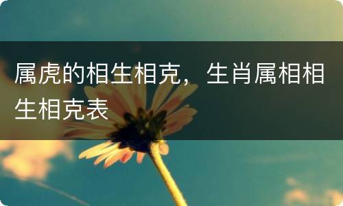 属虎的相生相克，生肖属相相生相克表