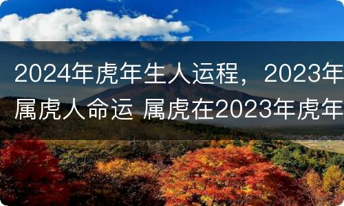 2024年虎年生人运程，2023年属虎人命运 属虎在2023年虎年运势