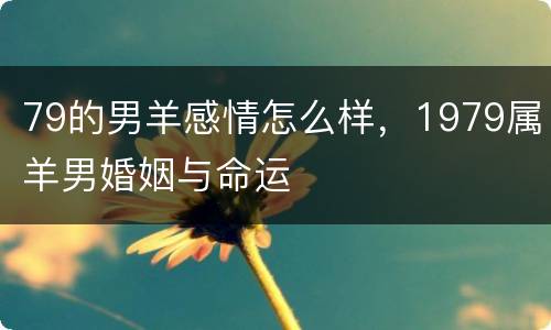 79的男羊感情怎么样，1979属羊男婚姻与命运